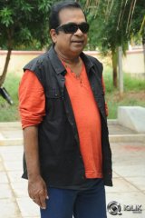 Brahmanandam About Alludu Seenu Movie